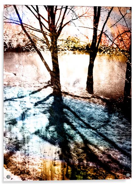  Through The Trees Acrylic by Florin Birjoveanu