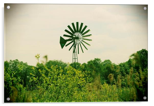  Farm Windmill on the Somerset levels Acrylic by Caroline Hillier