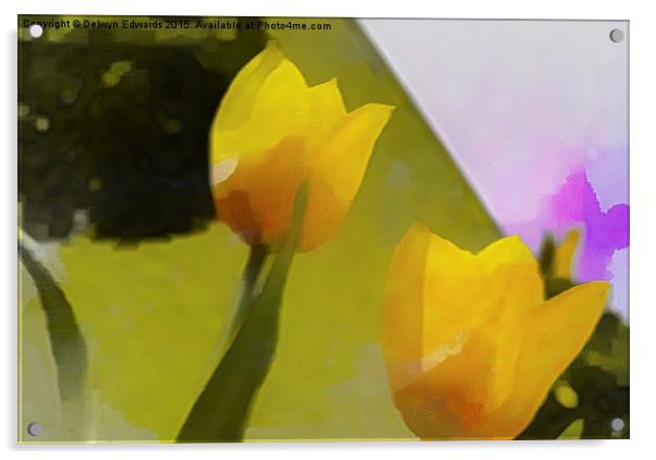  Tulips Acrylic by Delwyn Edwards