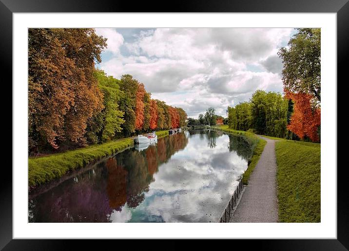  Autumn colours. Framed Mounted Print by Irene Burdell