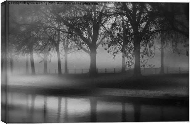 Fog at dusk Canvas Print by sylvia scotting