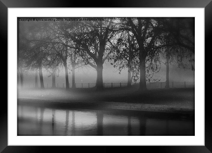  Fog at dusk Framed Mounted Print by sylvia scotting