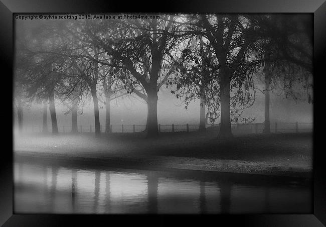  Fog at dusk Framed Print by sylvia scotting