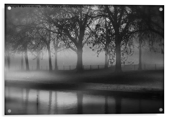  Fog at dusk Acrylic by sylvia scotting