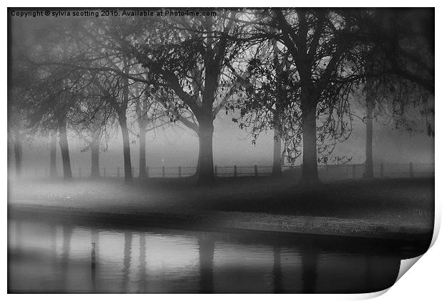  Fog at dusk Print by sylvia scotting