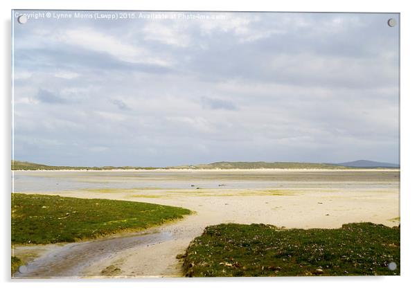  A Deserted Beach  Acrylic by Lynne Morris (Lswpp)