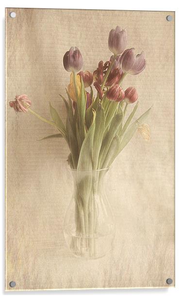  Tulips Acrylic by karen shivas