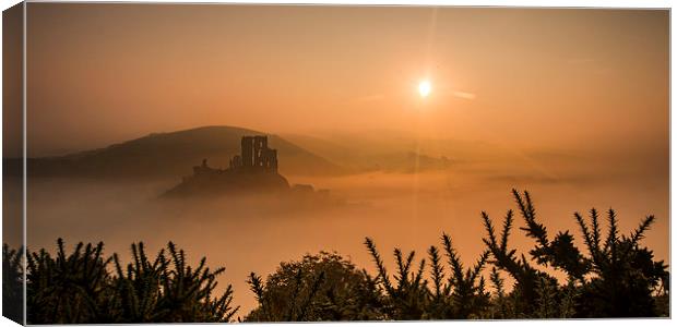 Misty Sunrise at Corfe Castle Canvas Print by Kevin Browne