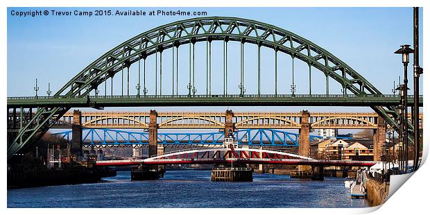 Six Bridges Across The Tyne Print by Trevor Camp