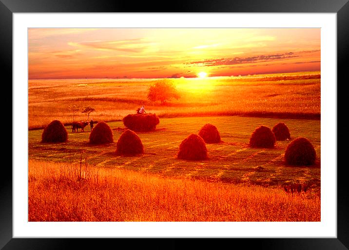  Colorful Day To End Framed Mounted Print by Florin Birjoveanu