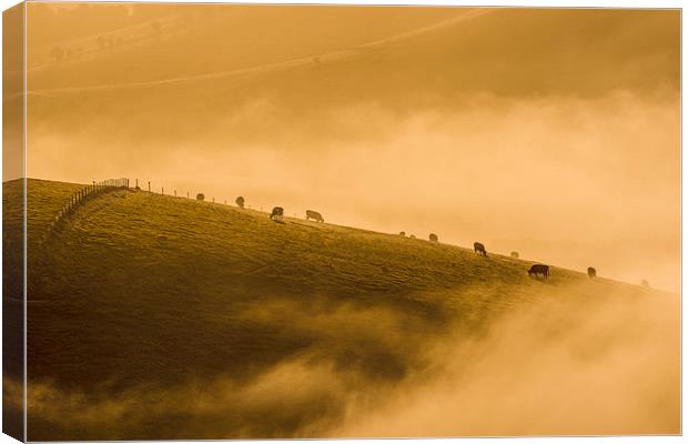 Silhouettes in the Mist Canvas Print by Malcolm McHugh