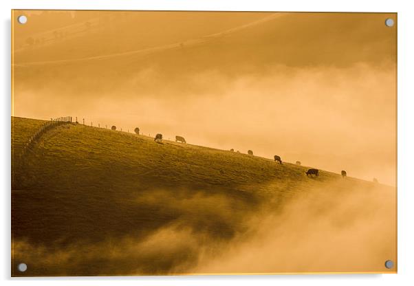 Silhouettes in the Mist Acrylic by Malcolm McHugh