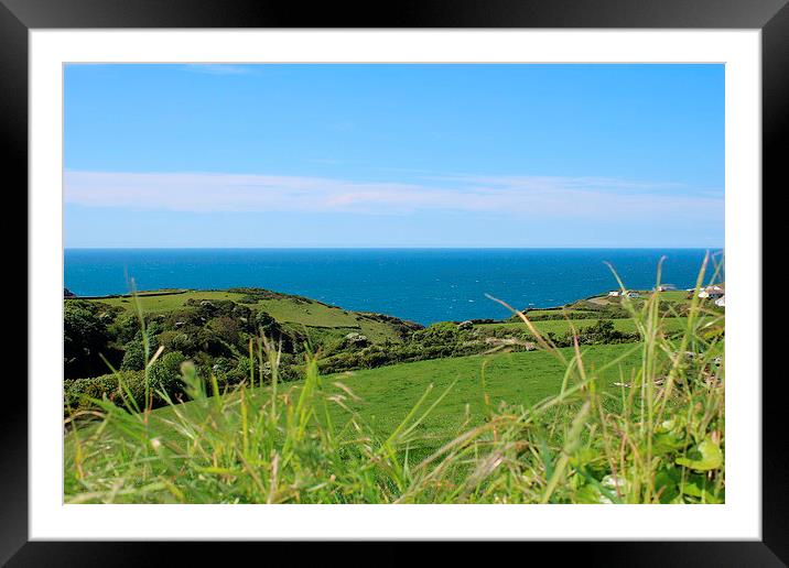  Cornish coastline in Summer Framed Mounted Print by Caroline Hillier