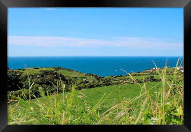  Cornish coastline in Summer Framed Print by Caroline Hillier