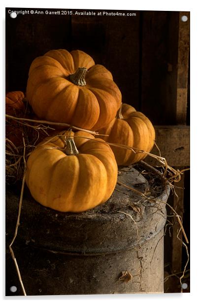 Three Pumpkins on a Bucket Acrylic by Ann Garrett