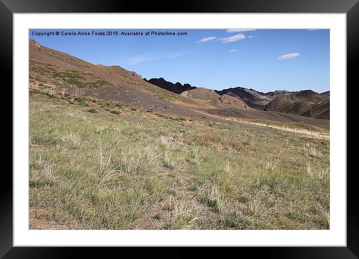 Southern Gobi Mongolia  Framed Mounted Print by Carole-Anne Fooks