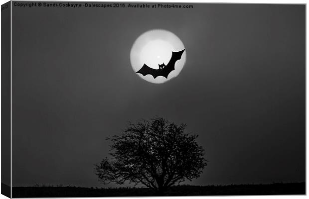  Bat In The Moon Canvas Print by Sandi-Cockayne ADPS