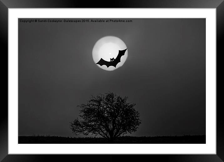  Bat In The Moon Framed Mounted Print by Sandi-Cockayne ADPS