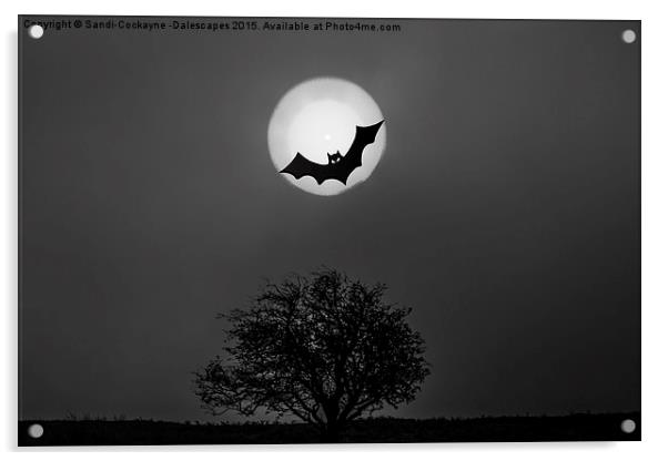  Bat In The Moon Acrylic by Sandi-Cockayne ADPS