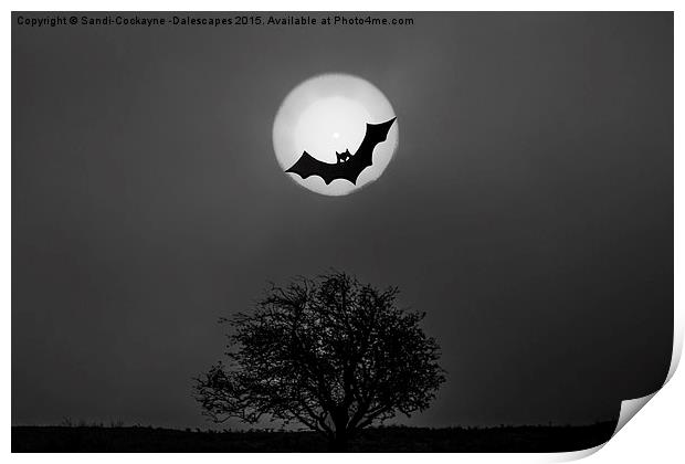  Bat In The Moon Print by Sandi-Cockayne ADPS