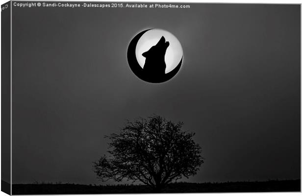  Howling Wolf Canvas Print by Sandi-Cockayne ADPS