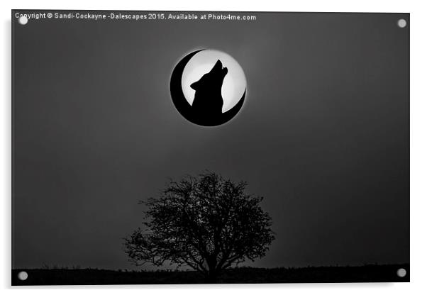  Howling Wolf Acrylic by Sandi-Cockayne ADPS