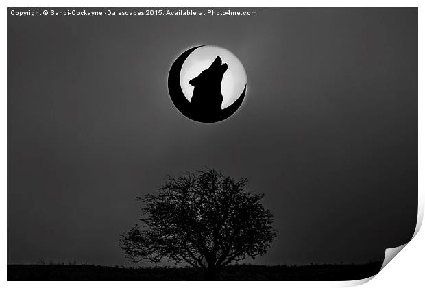  Howling Wolf Print by Sandi-Cockayne ADPS