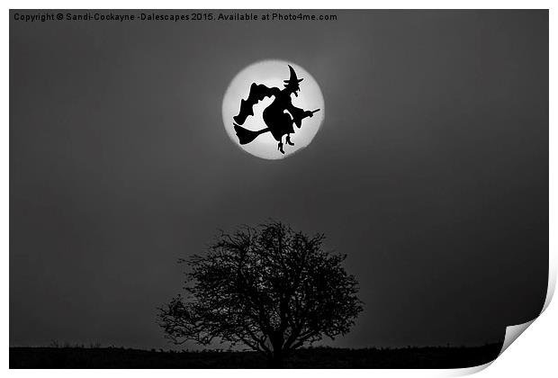  Cackling Witch In The Moon Print by Sandi-Cockayne ADPS