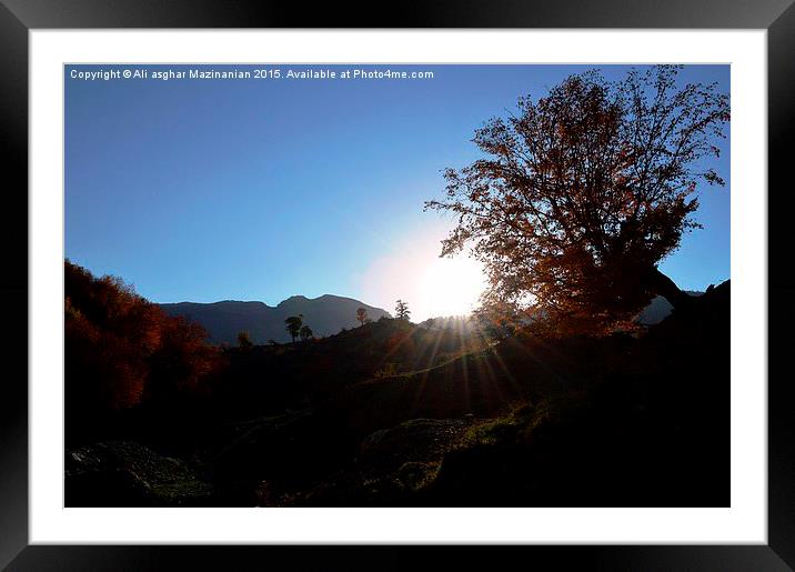 Sunrise in jungle 4, Framed Mounted Print by Ali asghar Mazinanian