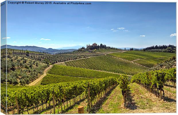  Vineyards of Tuscany Canvas Print by Robert Murray