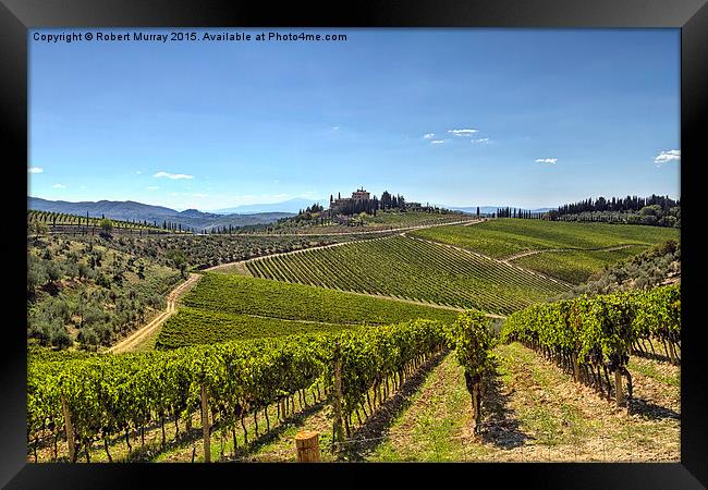  Vineyards of Tuscany Framed Print by Robert Murray