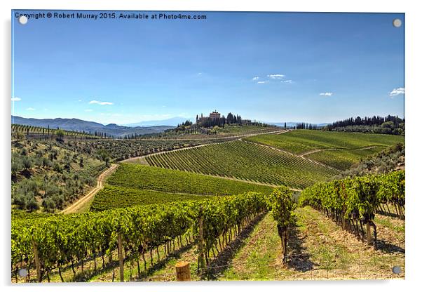  Vineyards of Tuscany Acrylic by Robert Murray