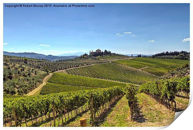  Vineyards of Tuscany Print by Robert Murray