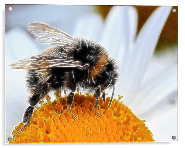  Bumblebee Acrylic by Debra Kelday