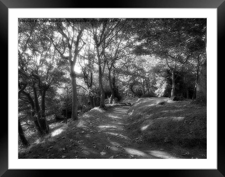  Autumn in black and white Framed Mounted Print by chrissy woodhouse