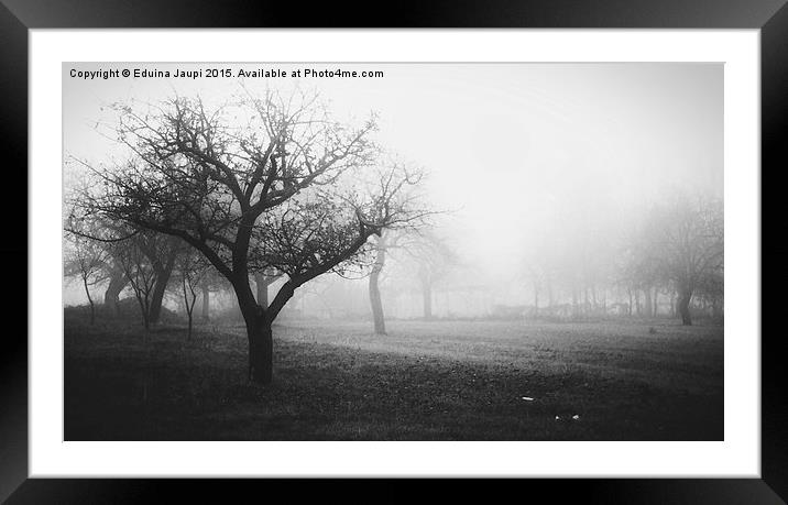  Misty Field Framed Mounted Print by Eduina Jaupi