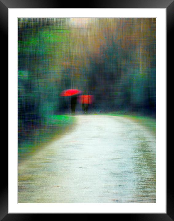  Walk In The Rain  Framed Mounted Print by Florin Birjoveanu
