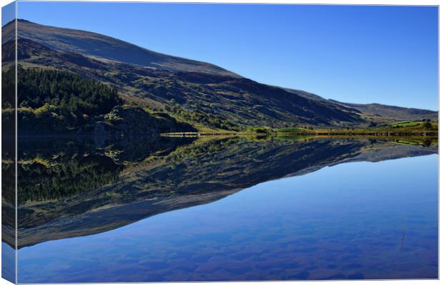 Snowdonia Reflections Canvas Print by Karl Butler