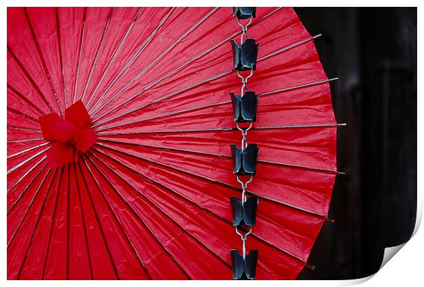  Traditional Japanese Umbrella Print by david harding