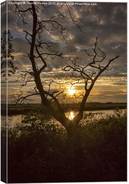  Sunset                           Canvas Print by Thanet Photos