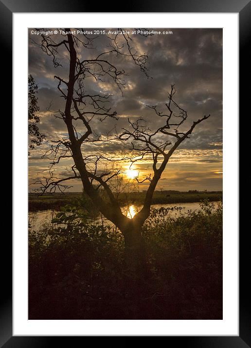 Sunset                           Framed Mounted Print by Thanet Photos