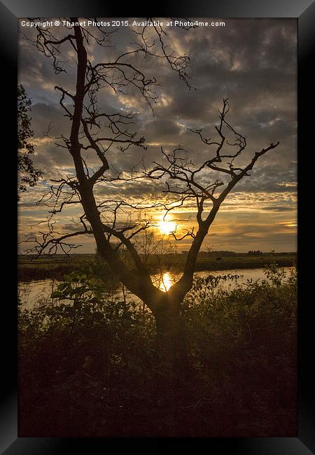  Sunset                           Framed Print by Thanet Photos