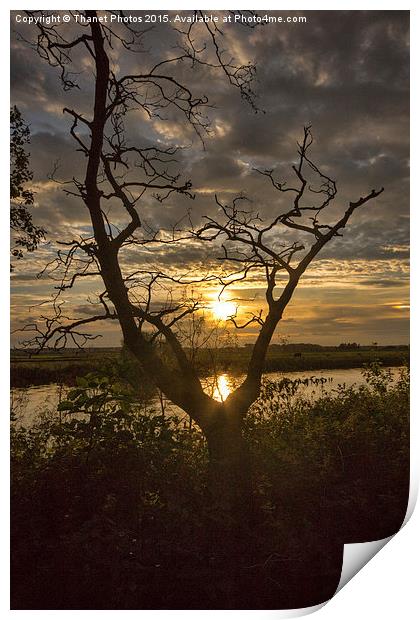  Sunset                           Print by Thanet Photos