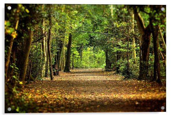  Autumn Woodland Walk Acrylic by Dean Messenger