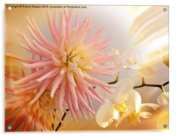   A summer Dahlia flower with Orchids on texture Acrylic by Robert Gipson