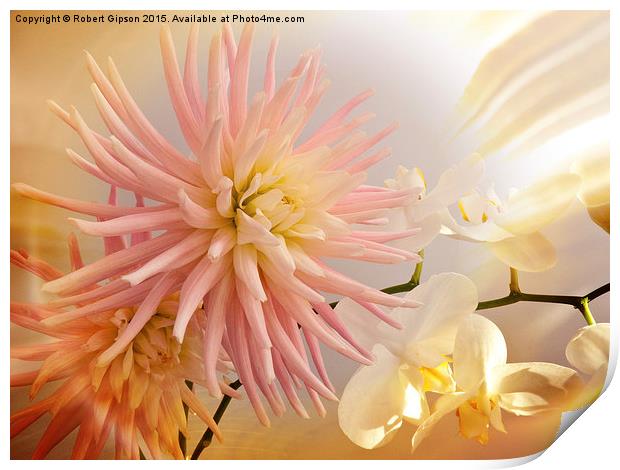   A summer Dahlia flower with Orchids on texture Print by Robert Gipson