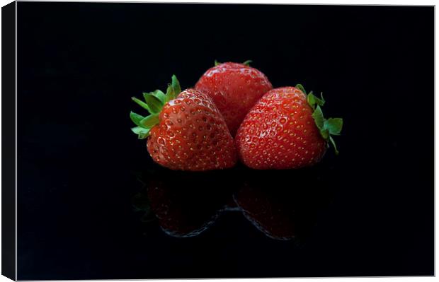  The Strawbs Canvas Print by Paul Want