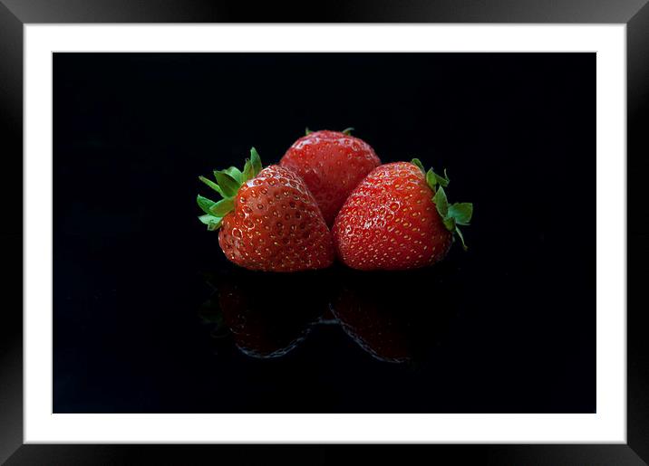  The Strawbs Framed Mounted Print by Paul Want