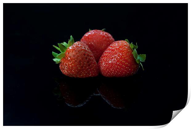  The Strawbs Print by Paul Want