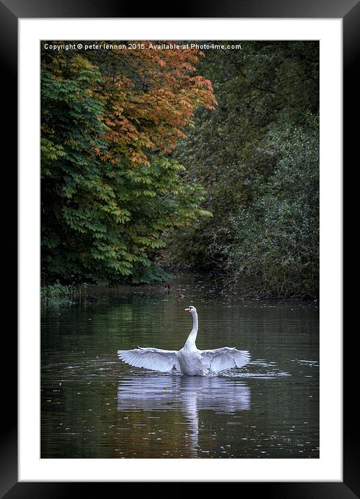  PROUD Framed Mounted Print by Peter Lennon